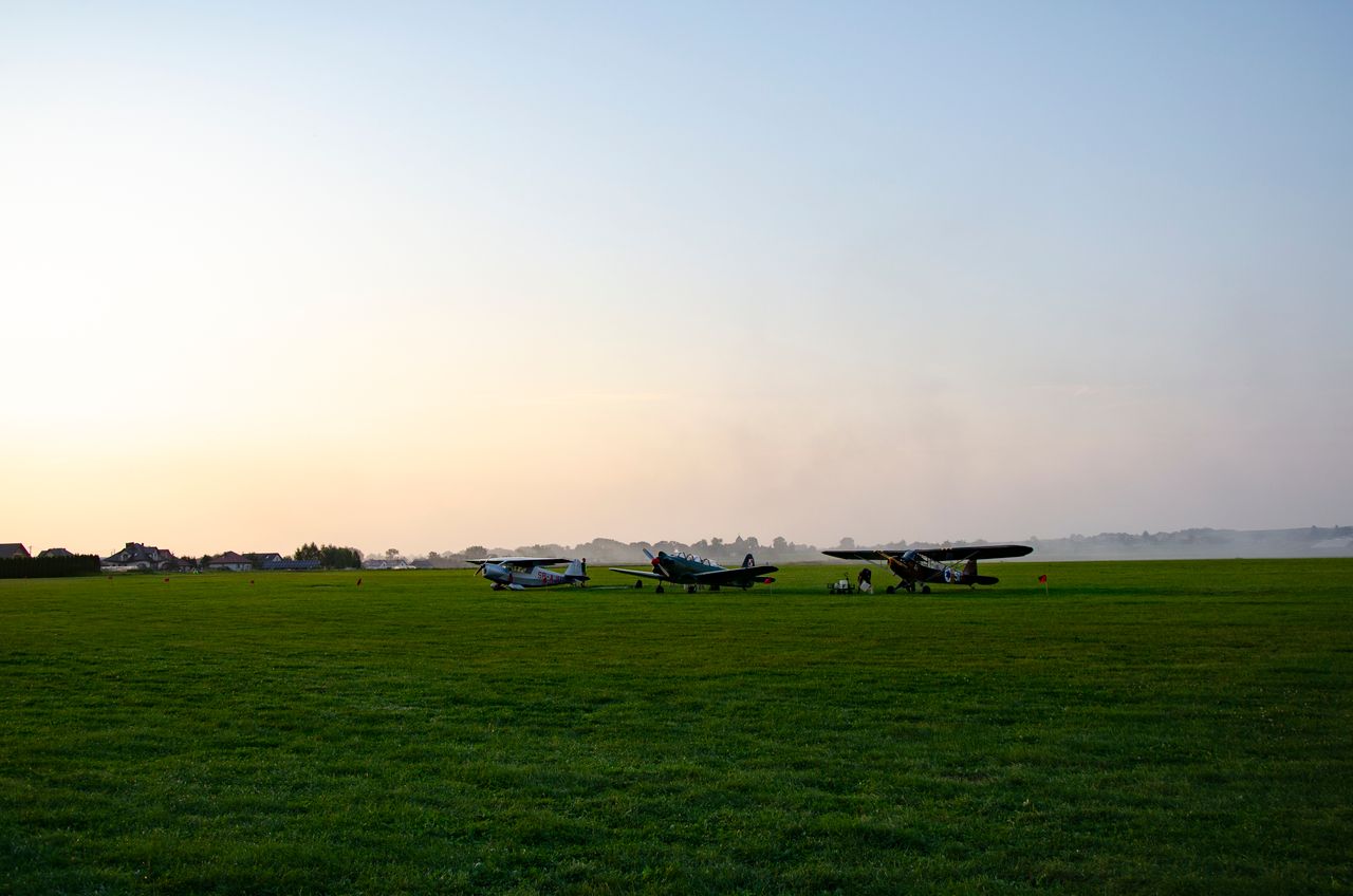 A serene scene of vintage airplanes on a large green airfield during dusk, capturing a tranquil rural setting.